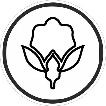 Balta